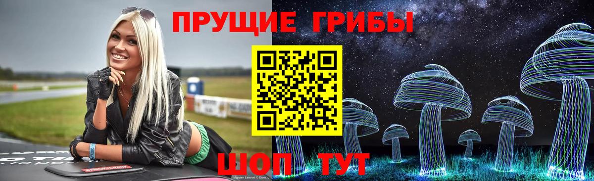 где можно купить наркотик  Вход с VPN  Магадан  Псилоцибиновые грибы Psilocybe 