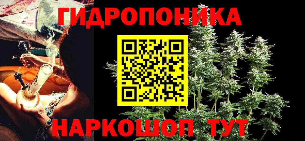 Каннабис OG Kush  Вход с VPN  Марихуана конопля  Шишки марихуана MAZAR  Магадан 